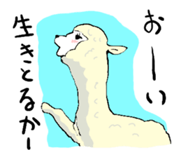 alpaca-biyori sticker #4327394