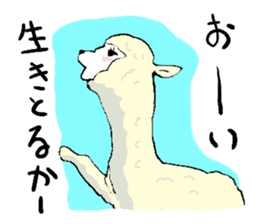 alpaca-biyori sticker #4327394
