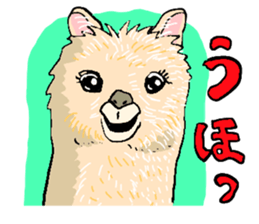 alpaca-biyori sticker #4327405