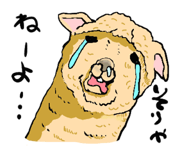 alpaca-biyori sticker #4327409