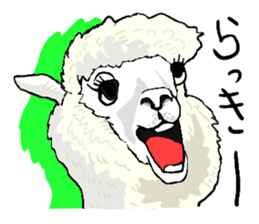 alpaca-biyori sticker #4327411