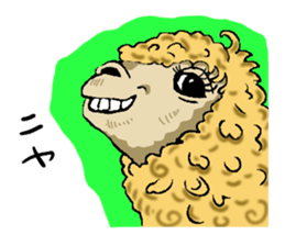 alpaca-biyori sticker #4327413