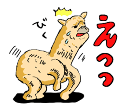 alpaca-biyori sticker #4327415