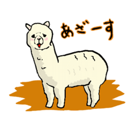 alpaca-biyori sticker #4327416