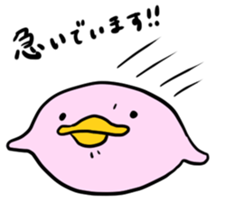 piyo-maru-senpai sticker #4330677