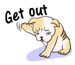 Stupid French Bulldog sticker #4331792