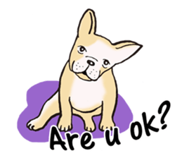 Stupid French Bulldog sticker #4331795