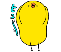 little chicks sticker #4333311