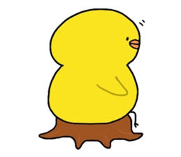 little chicks sticker #4333323