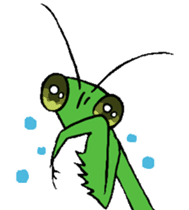 Kiri of a mantis sticker #4335996