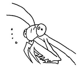 Kiri of a mantis sticker #4336007