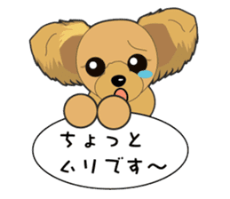 Yorkshire Terrier daily sticker #4338098