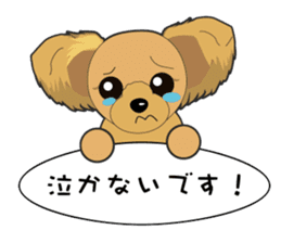 Yorkshire Terrier daily sticker #4338100