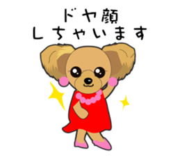 Yorkshire Terrier daily sticker #4338101