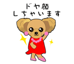 Yorkshire Terrier daily sticker #4338101