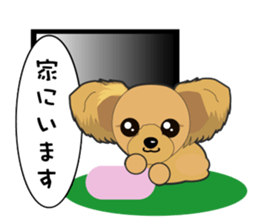 Yorkshire Terrier daily sticker #4338104