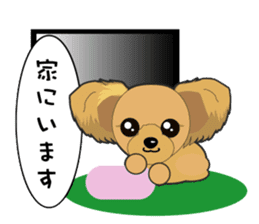 Yorkshire Terrier daily sticker #4338104