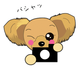 Yorkshire Terrier daily sticker #4338122