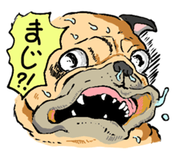co-chan pug sticker #4339096