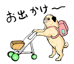 co-chan pug sticker #4339097