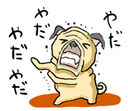 co-chan pug sticker #4339098