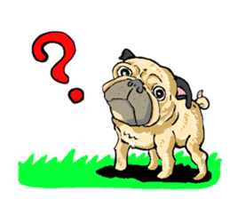 co-chan pug sticker #4339099