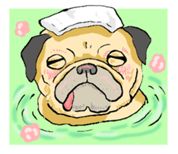 co-chan pug sticker #4339101