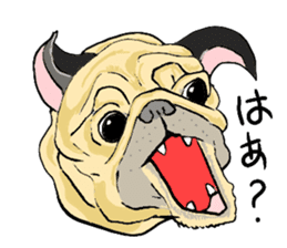 co-chan pug sticker #4339103