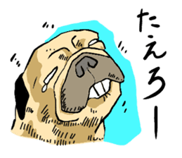 co-chan pug sticker #4339104