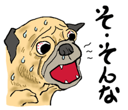 co-chan pug sticker #4339105