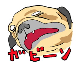 co-chan pug sticker #4339106
