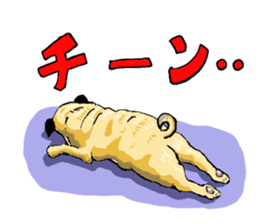 co-chan pug sticker #4339108