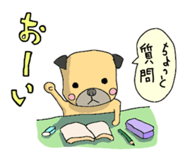 co-chan pug sticker #4339109