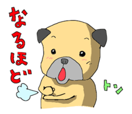 co-chan pug sticker #4339111