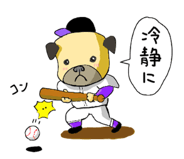 co-chan pug sticker #4339112