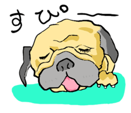 co-chan pug sticker #4339118