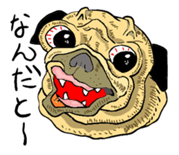 co-chan pug sticker #4339119