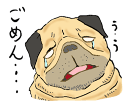 co-chan pug sticker #4339120