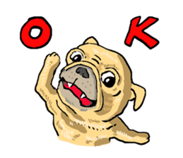 co-chan pug sticker #4339123