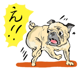 co-chan pug sticker #4339131