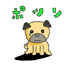 co-chan pug sticker #4339132