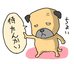 co-chan pug sticker #4339134