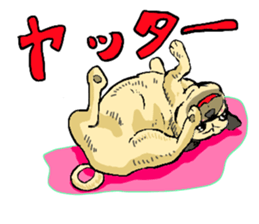co-chan pug sticker #4339135