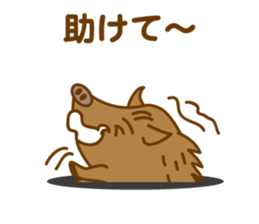 One of the Zodiac "wild boar" sticker #4339764