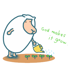 WOOL 90%