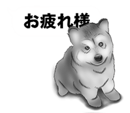 Monochrome dogs. sticker #4348016