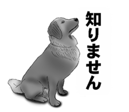 Monochrome dogs. sticker #4348017