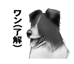Monochrome dogs. sticker #4348019
