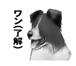 Monochrome dogs. sticker #4348019