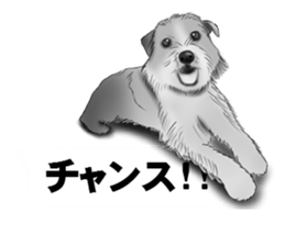 Monochrome dogs. sticker #4348022